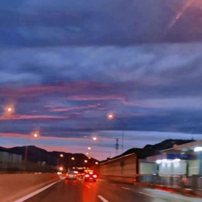 光遇白鸟版下载